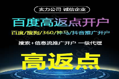 百度竞价广告策略分析及实战案例